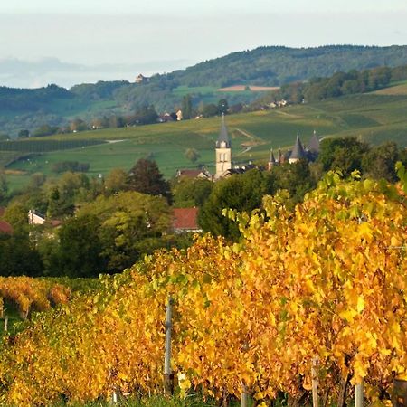 Gite Le Douglas, Vignoble Et Reculees Du Jura - Avec Sauna Lavigny Exterior foto