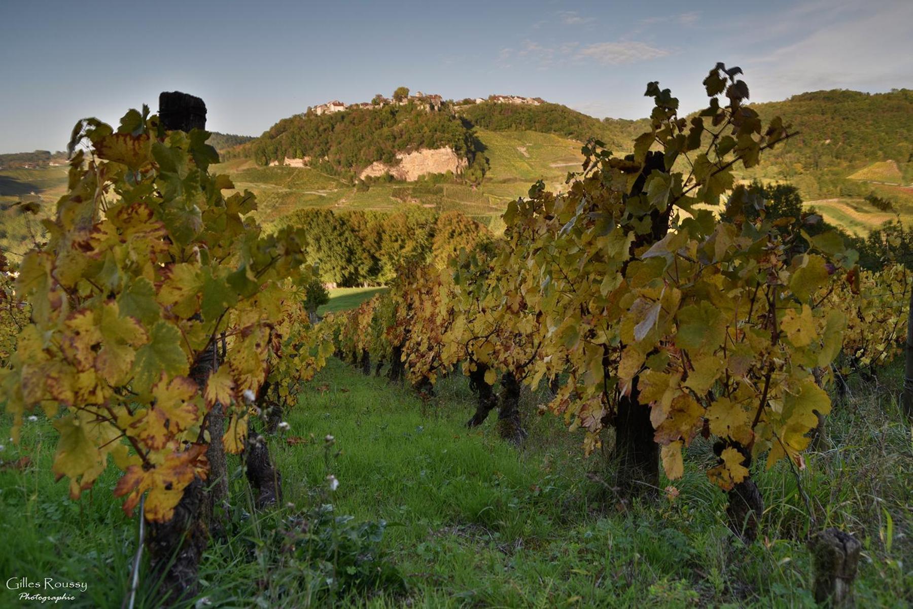 Gite Le Douglas, Vignoble Et Reculees Du Jura - Avec Sauna Lavigny Exterior foto