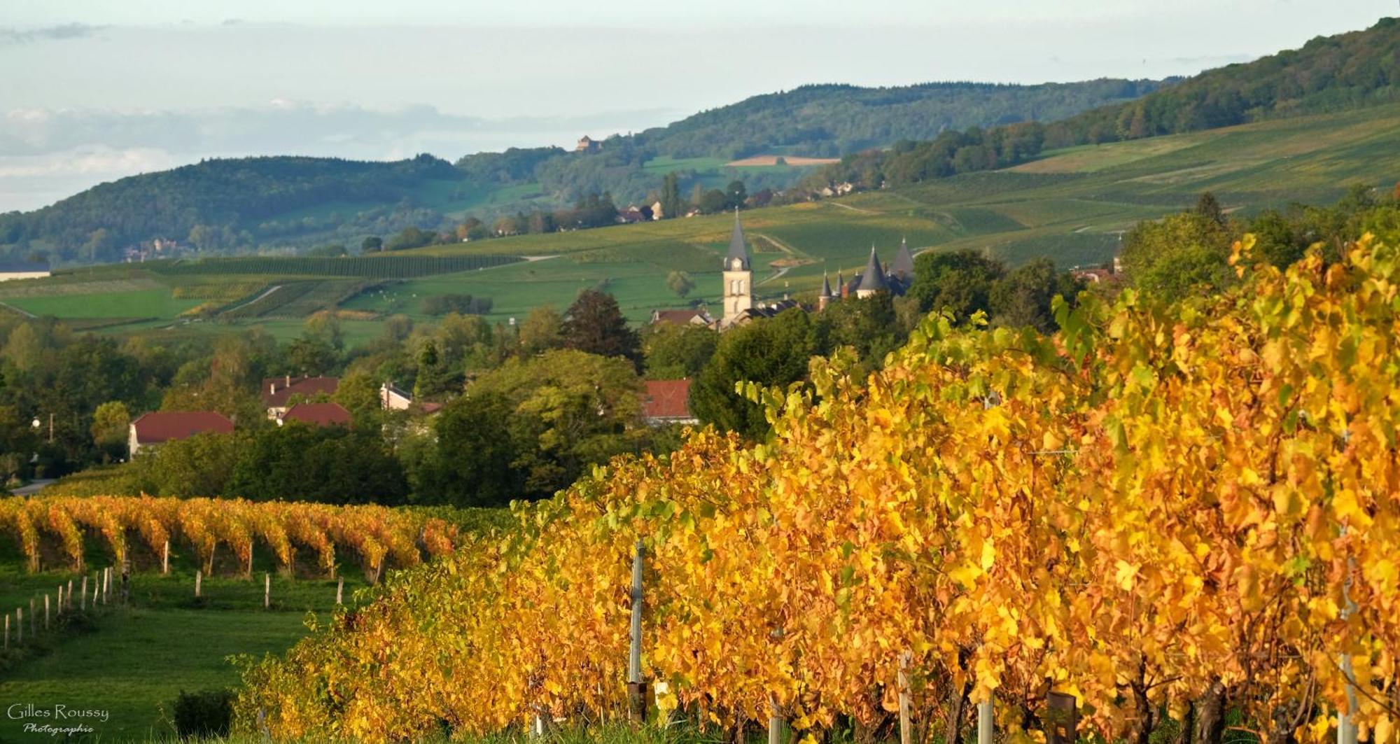Gite Le Douglas, Vignoble Et Reculees Du Jura - Avec Sauna Lavigny Exterior foto